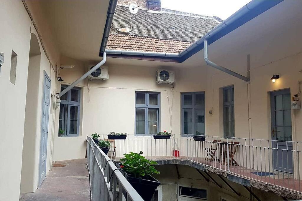 Charming Apartment In Historical City Center تيميشورا المظهر الخارجي الصورة