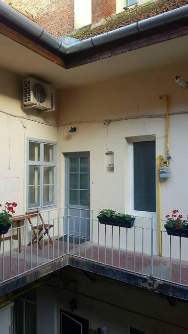 Charming Apartment In Historical City Center تيميشورا المظهر الخارجي الصورة